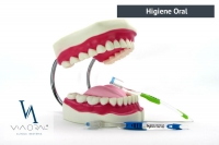 Higiene Oral